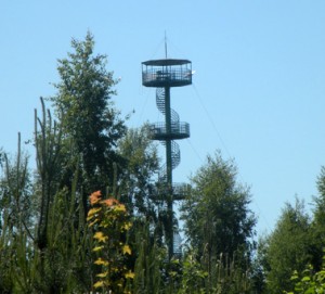Sartų bokštas